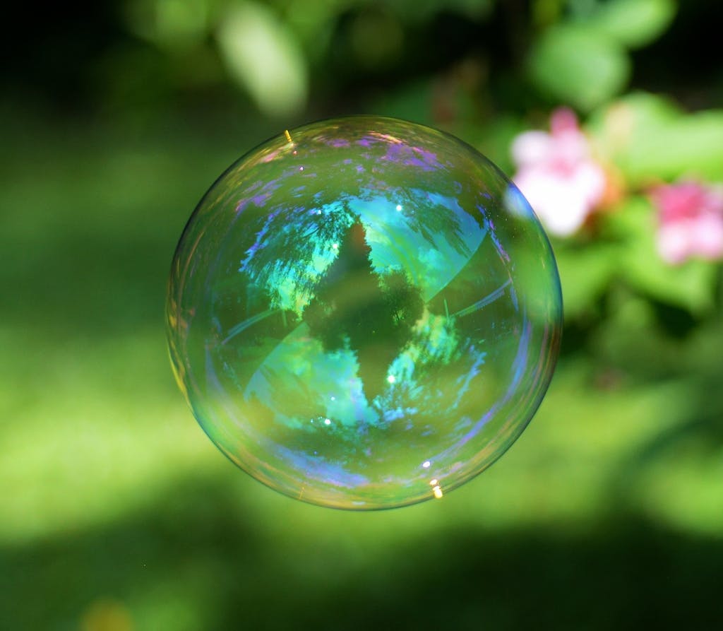 Clear and Blue Bubble Near Green Leaves